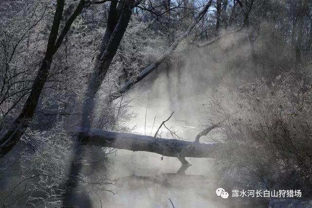 妙鸭相机app下载官网