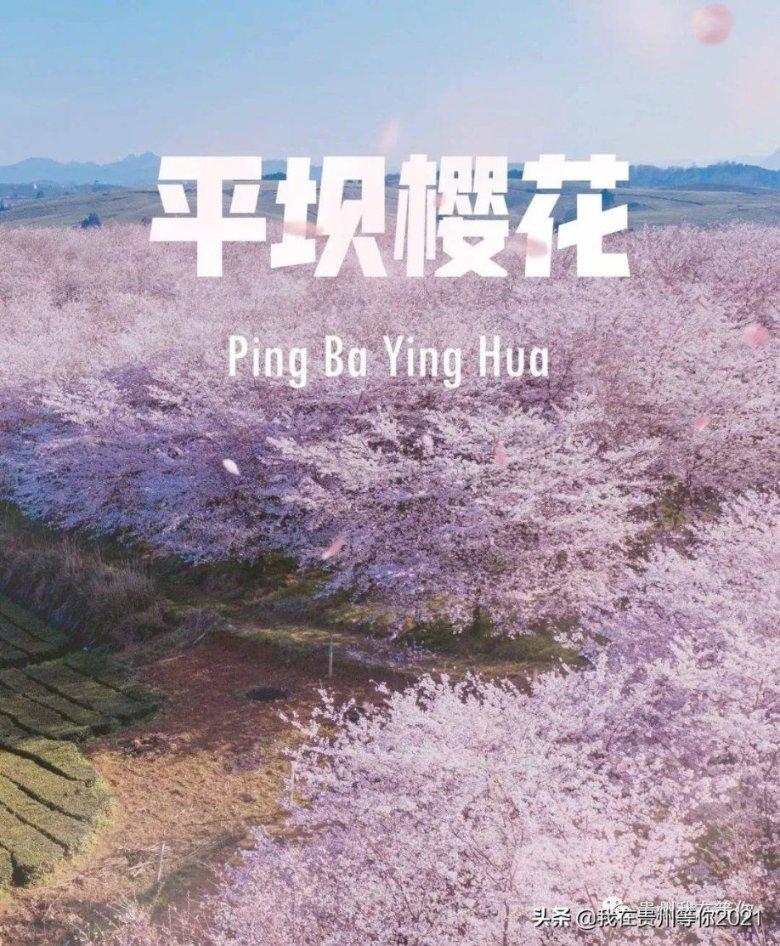 逃离上锁的房屋